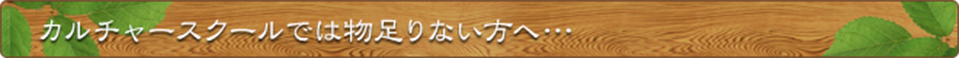 カルチャースクールでは物足りない方へ