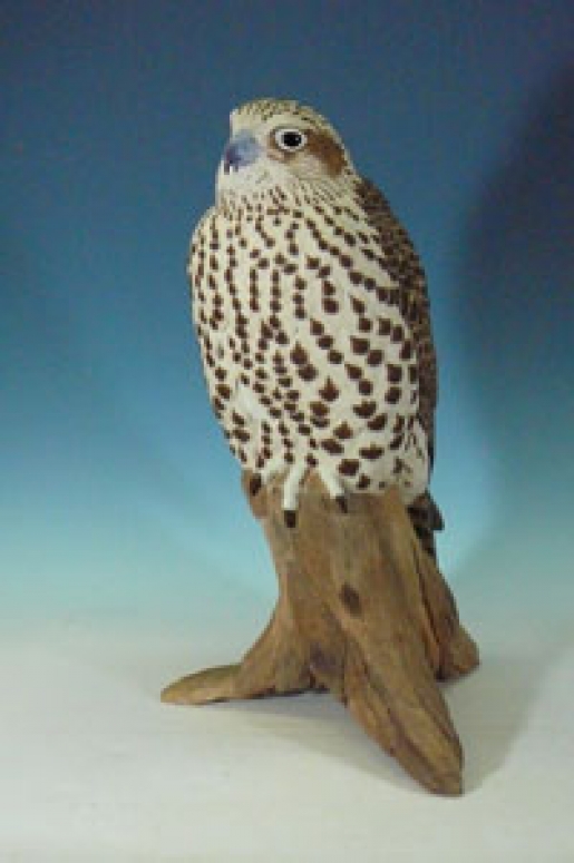 セーカーハヤブサ